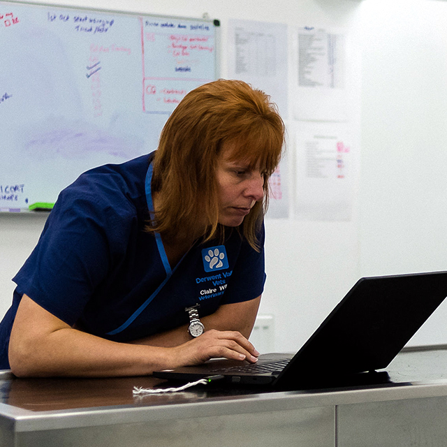 Our Team – Derwent Valley Vets