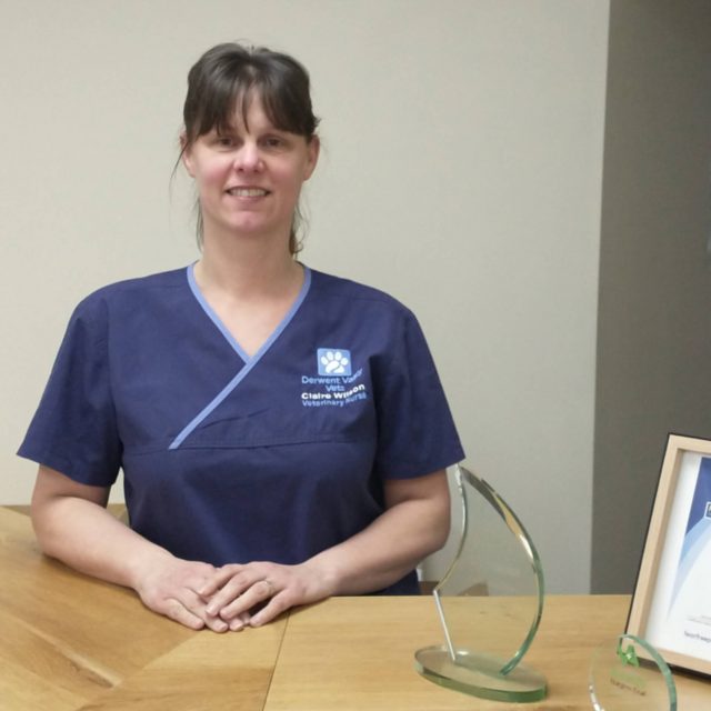 Claire Wilson RVN, Practice Manager