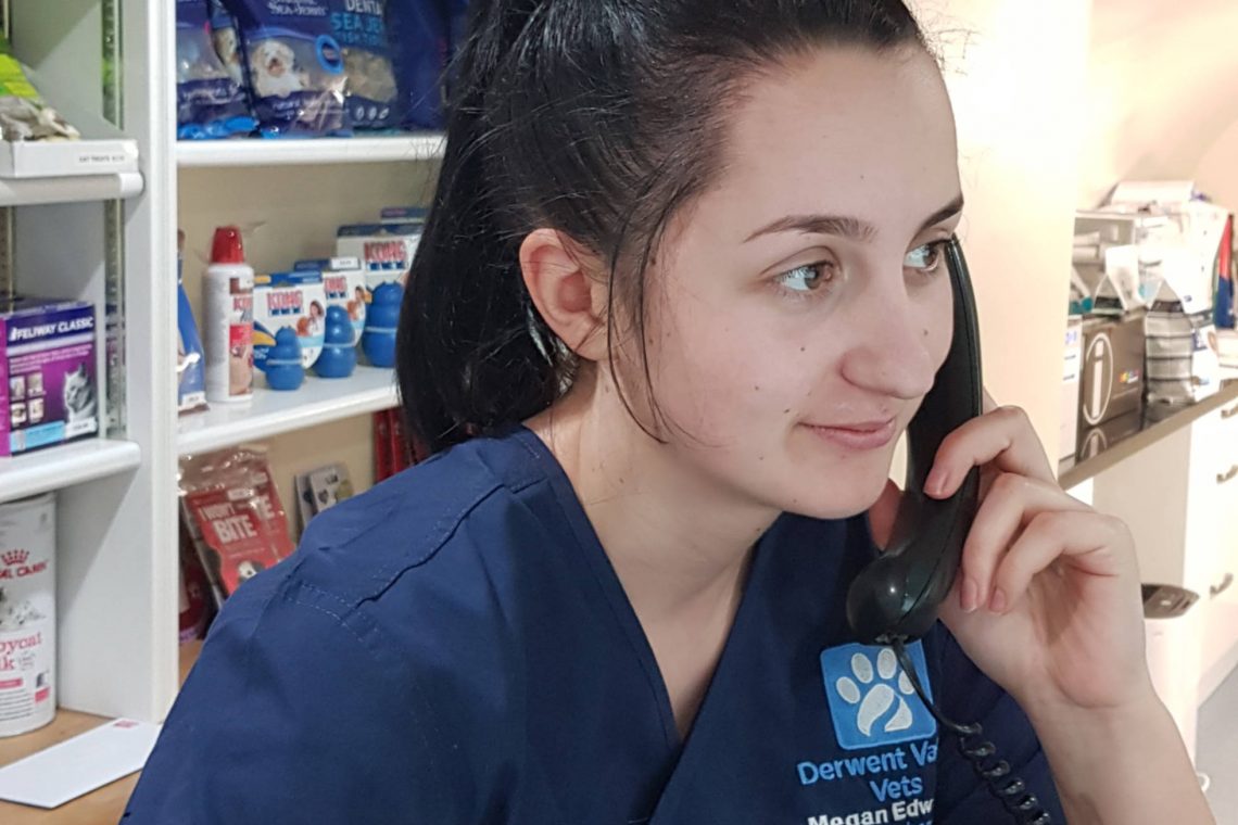Megan - Vet Nurse Trainee